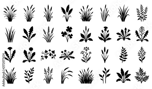 Grass and Wildflower Silhouette Set with Plants, Leaves and Herb Elements in Black Vector Style