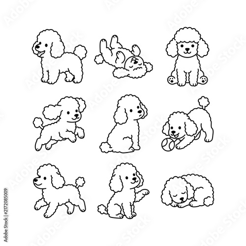 Cute Poodle Dog Collection in Different Poses, Hand Drawn Line Art