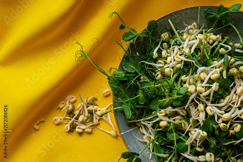 Canvastavla Vigna radiata and microgreens
