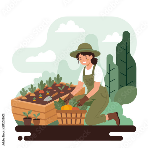 Vector flat design ilustration of woman gardening harvesting fresh organic vegetables outdoors