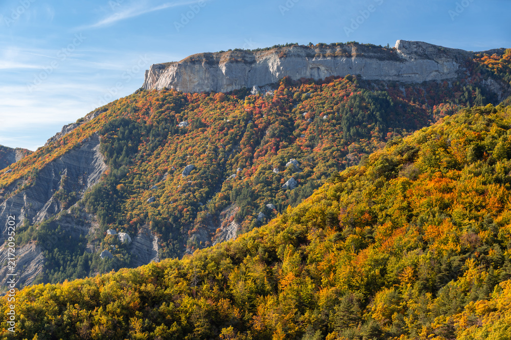 Obraz premium Petite Ceuse limestone cliffs in the Ceuze Massif near Gap with deciduous tree forest in full autumn colors. Hautes-Alpes, France
