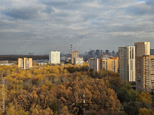Autumn trees glow gold against urban skyline. High-rise buildings stand behind dense foliage. Cloudy sky casts soft light over cityscape. No animals or flowers visible in this view