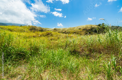 Serene rural landscape featuring lush green grass and rolling hills beneath a clear blue sky. A peaceful nature scene at the Batu Angus tourist area in Bitung, Indonesia.