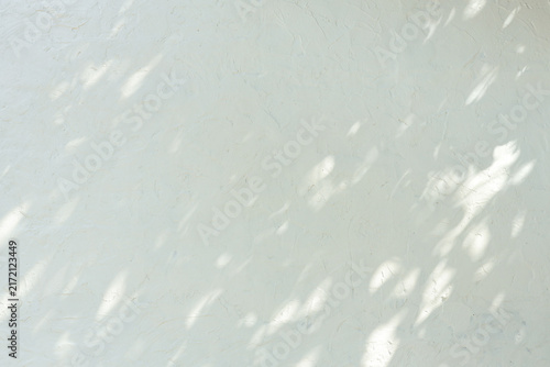 Abstract leaf shadow on cement wall background, Background with drop shadow and light effect