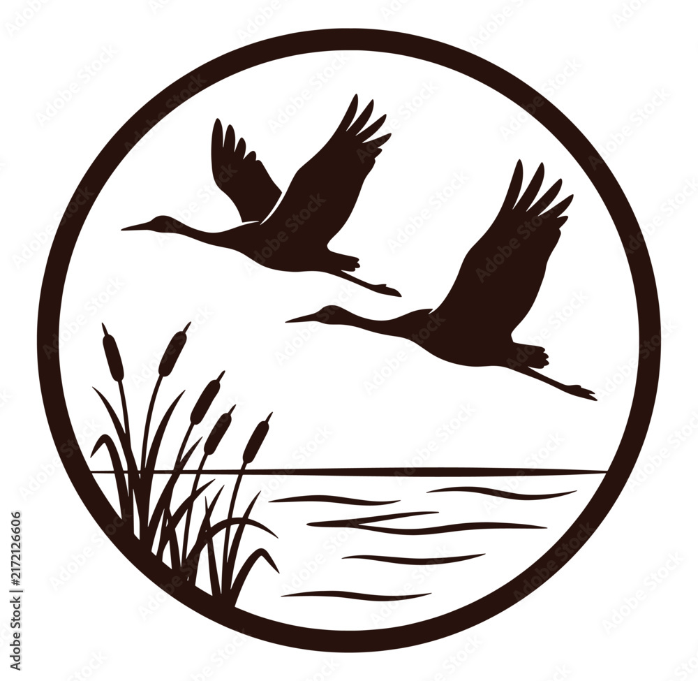 Naklejka premium Brown silhouette flying cranes over water and cattails in circle