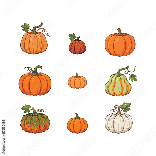 Colorful Pumpkin Collection Set with Different Shapes and Varieties
