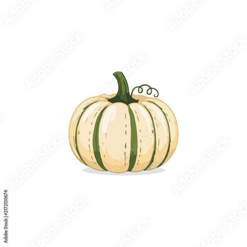 Elegant White Pumpkin Cartoon Vector Illustration with Green Stem
