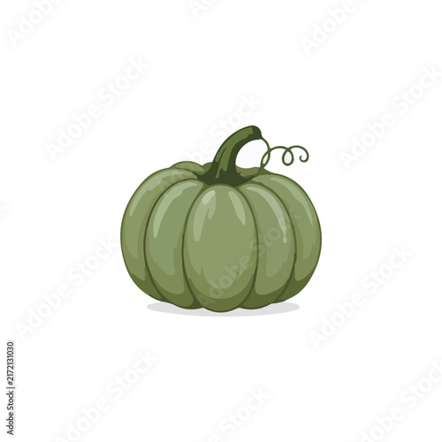 Green Pumpkin Cartoon Vector Illustration with Curly Stem