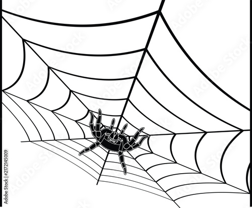 Black spider sitting on a large detailed spider web