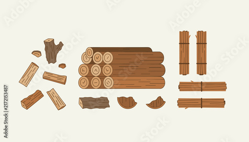 Categorized neat collection of various wooden logs, chopped firewood, kindling, and wood chips on a solid light background.
