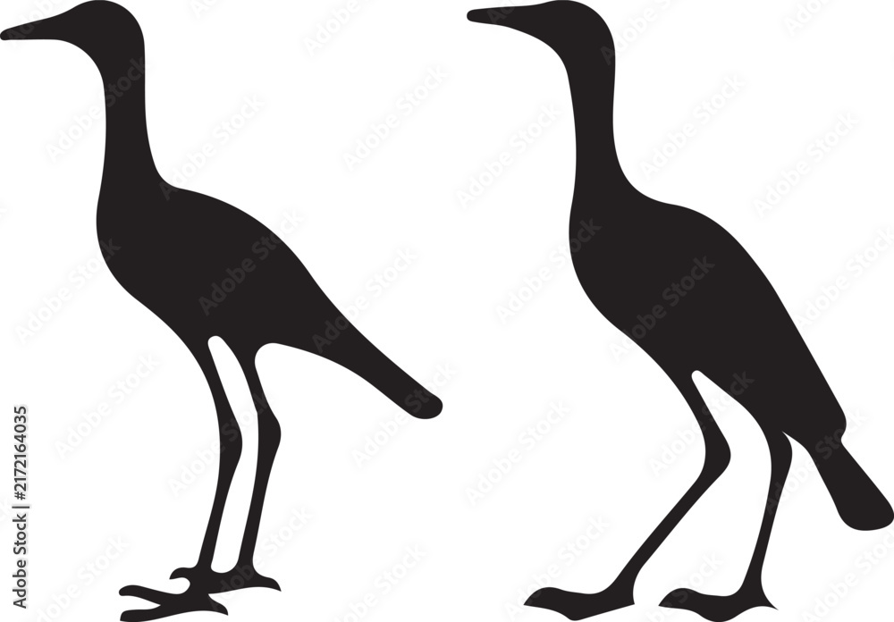 Naklejka premium silhouettes of birds