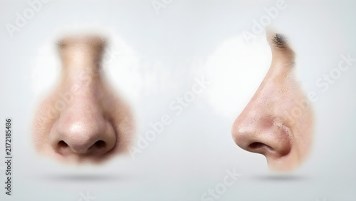 Realistic Human nose 3D  illustration isolated on white
