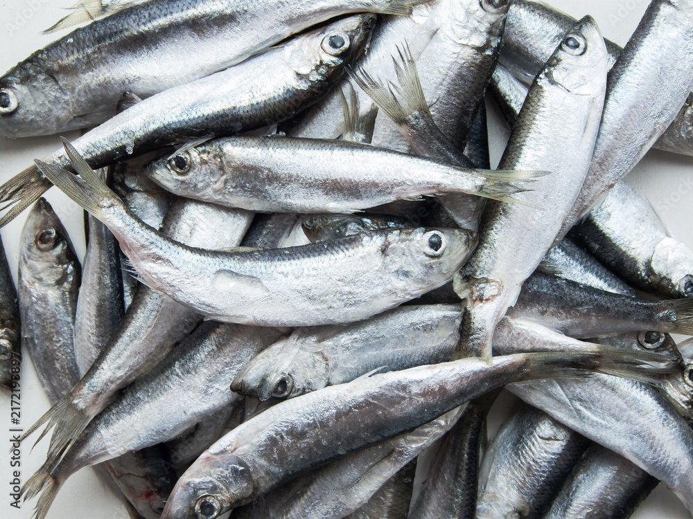 Obraz premium Frozen seafood anchovies and herring fish sprat on brick of ice and snow. Fresh deeply frozen organic small raw fish, shoaling fish of commercial importance as a food fish and as bait.