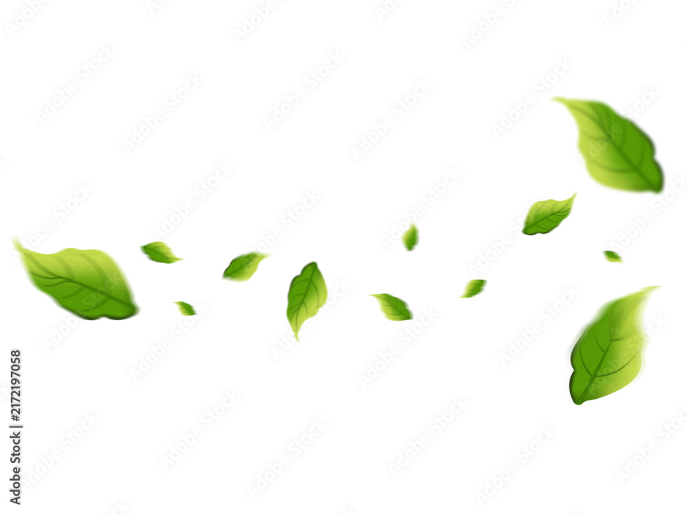 Obraz premium Flying Green Leaves Floating