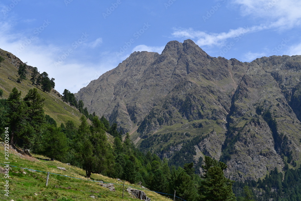 Obraz premium Schöne Landschaft im Matscher Tal in Südtirol 