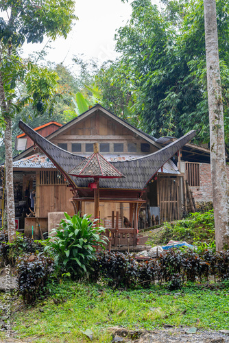 Canvas Print Tongkonan shaped tombs in a Toraja sanctuary, Sulawesi, Indonesia