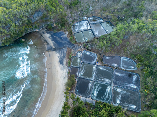 Aerial view of aquaculture shrimp farming ponds with aerators situated along the sandy coastline and lush green cliffs, Pacitan, East Java, Indonesia.