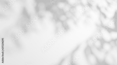 Soft gobo light with a blurred foliage shadow on a white wall background. Abstract dappled sunlight with leaf texture.