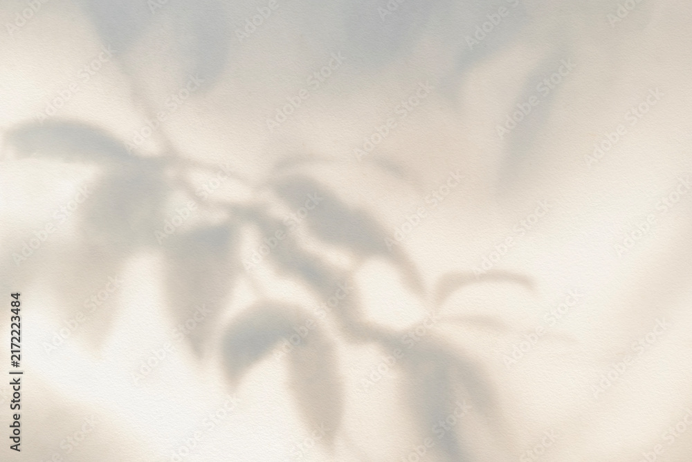 Obraz premium Light and shadow beige pastel abstract blur background. Natural leaves shadows and sunshine diagonal refraction on white wall texture. Shadow overlay effect foliage mockup banner graphic layout