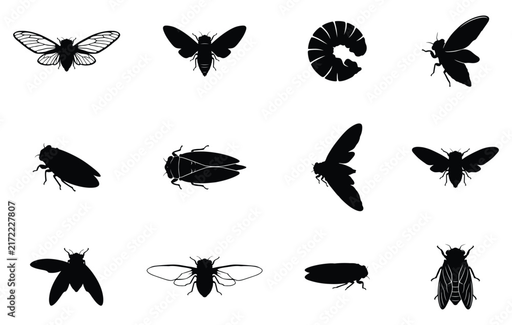 Fototapeta premium Cicada silhouette vector collection isolated on white background