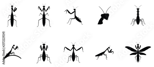 Praying mantis silhouette vector collection isolated on white background