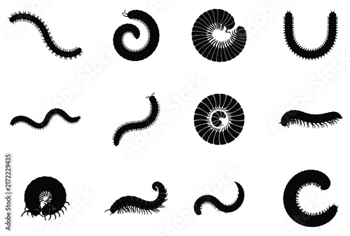 Millipede silhouette vector collection isolated on white background