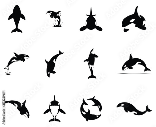 Orca killer whale silhouette vector collection isolated on white background