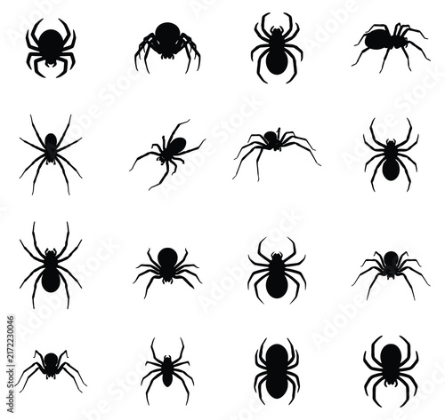 Spider silhouette vector collection isolated on white background