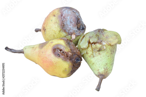 A pile of rotten pears on a PNG background.