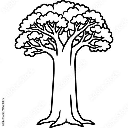 Kauri tree line art illustration