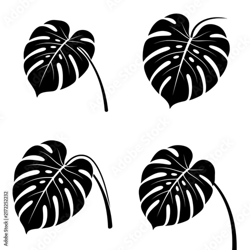 Принти на полотні Monstera Leaf vector illustration featuring an iconic tropical leaf with natural splits and distinctive botanical details in a clean minimalist style