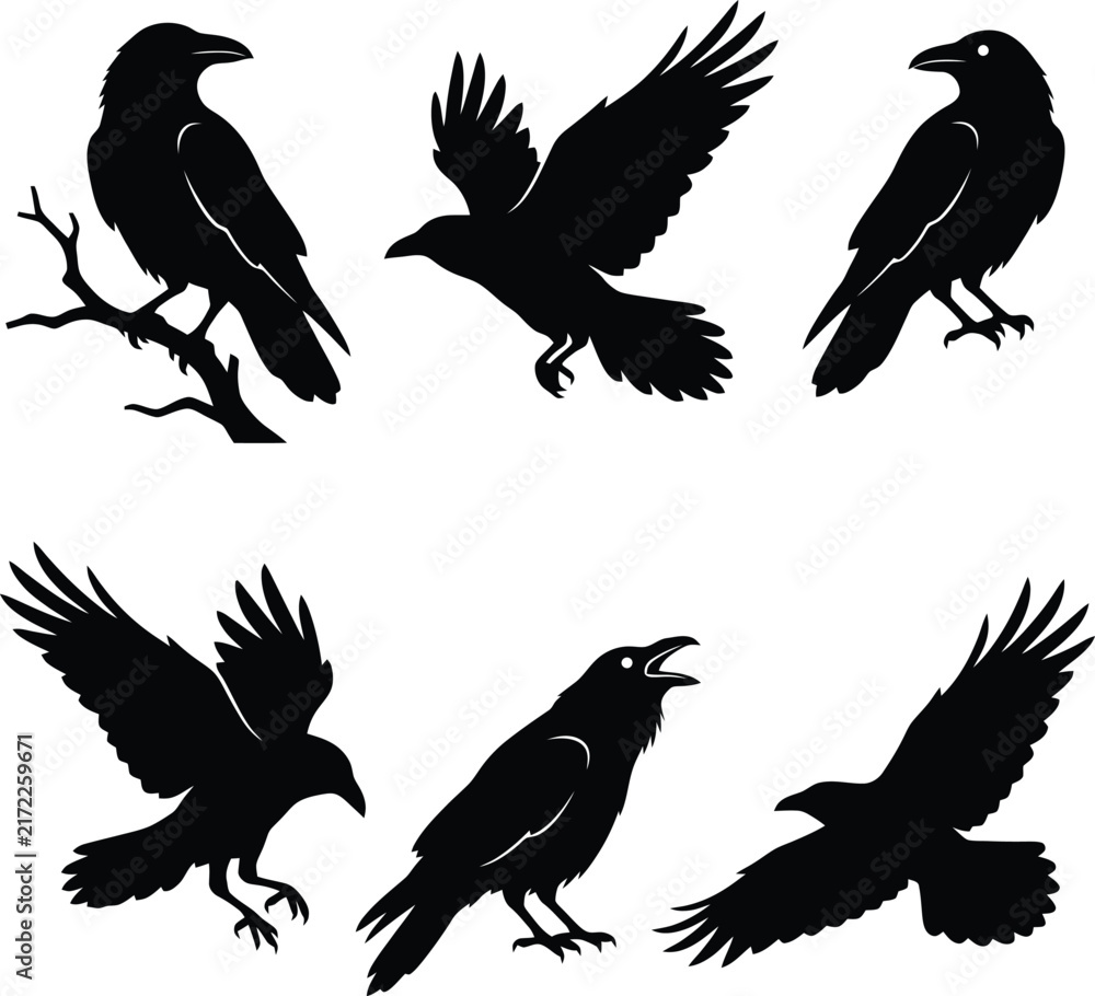 Naklejka premium Crow and Raven Silhouette Vector Illustration Set with Flying and Perching Black Bird Poses for Nature and Wildlife Design