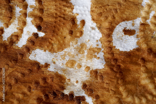 Close-up abstract photograph of coffee stains spreading across textured white paper