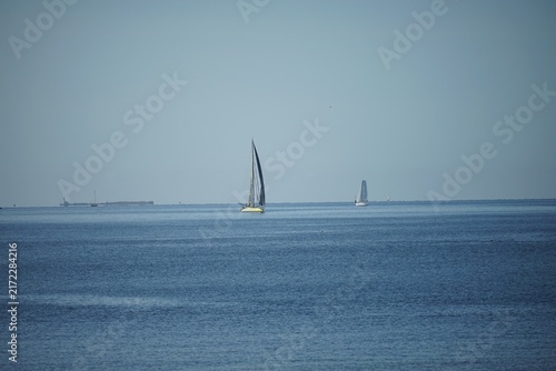 Paysage marin .