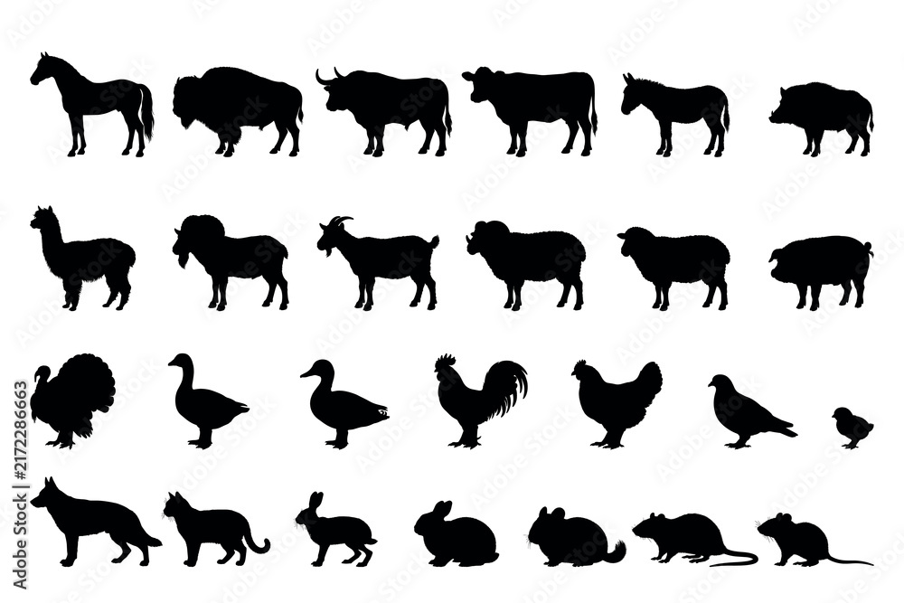 Fototapeta premium Black silhouette farm animals vector set collection