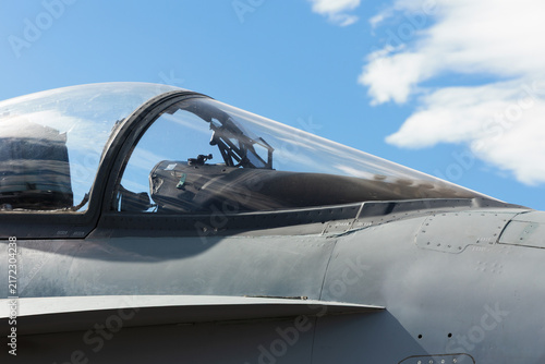 Fotografie Fighter plane, pursuit plane and interceptor