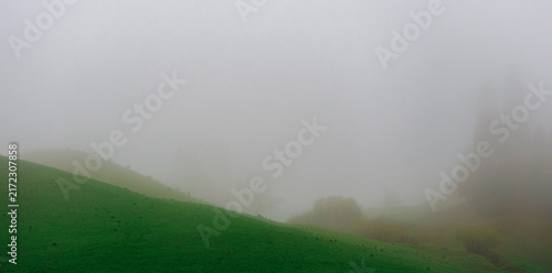 Minimalist Fogscape: Misty Negative Space and Green Ridge.
