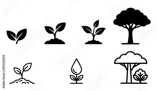 Trees vectors biological life cycle stages of a plant growing from seed to flower art