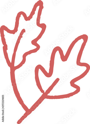 set of whimsical hand drawn floral, flower, leaves, branch clipart collection
