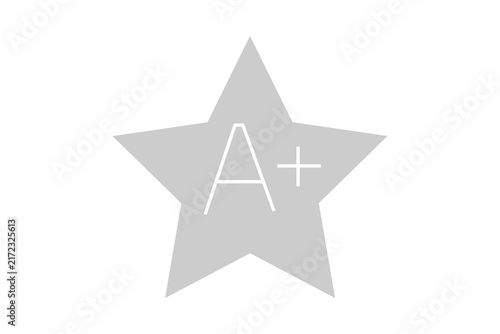This image is a minimalist, flat-style vector icon featuring a five-pointed star. Positioned in the center against a solid white background,