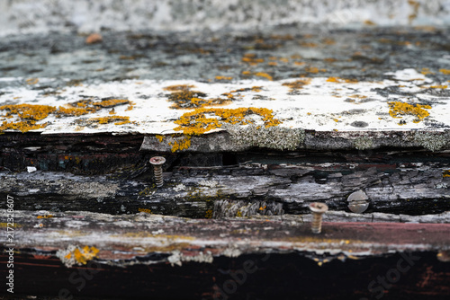 Fotografía Severely rotten wood texture with peeling white paint, exposed screws and yellow