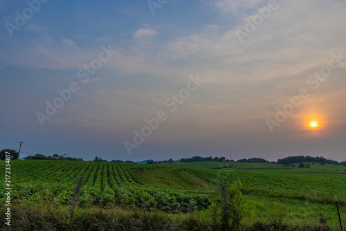 Agricultural lands near Gray, Tennessee, United States