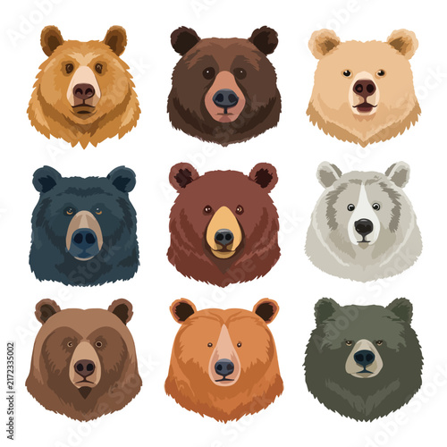 set of brown bears