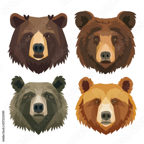 set of brown bears