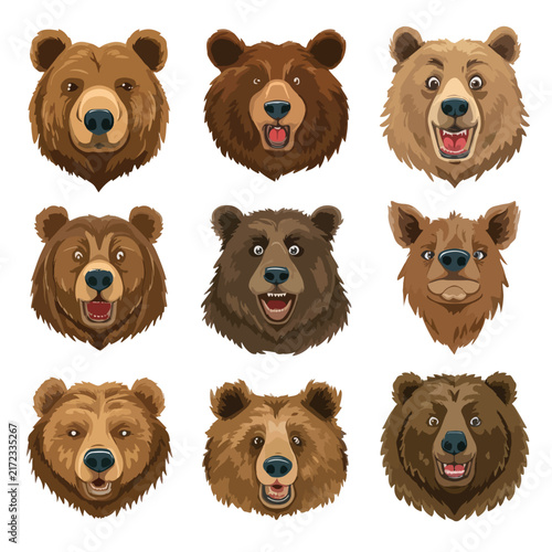 set of brown bears