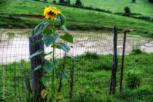 Agricultural lands near Gray, Tennessee, United States