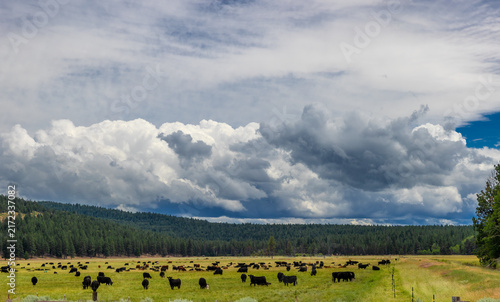 Beautiful high desert Klamath Basin in rural Oregon, USA