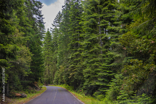 Road leading off of High Lakes Pass on Oregon highway 140, United States