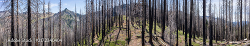 Konstfotografi Panoramic View From Carter Summit On The Pacific Crest Trail