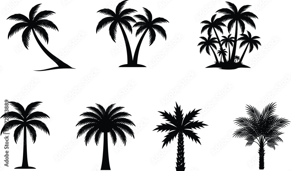 Fototapeta premium Set of tropical palm tree silhouettes with varied shapes and styles for design, illustration, and creative projects